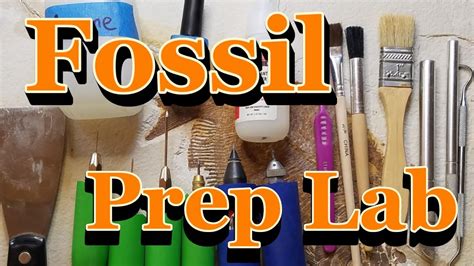 Fossil Prep Station .